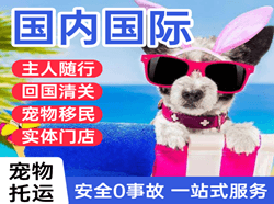 西双版纳航空空运国际宠物托运 【国